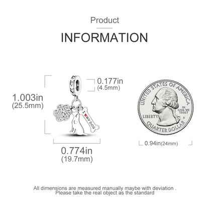 925 Sterling Silver Charm Collection for Women