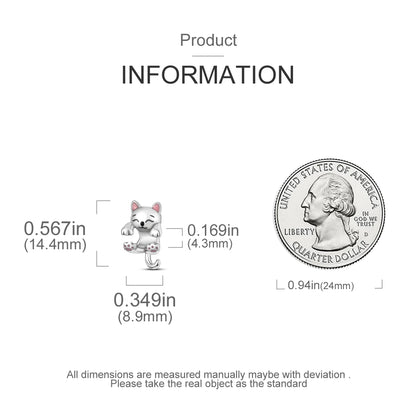 925 Sterling Silver Charm Collection for Women